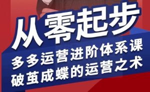 拼多多运营进阶系统课,从零起步,多多运营进阶体系课,破茧成蝶的运营之术(更新9月)-最全项目网