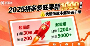 2025拼多多旺季新老店铺——快速低成本起量破千单-最全项目网