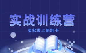 多多实战训练营,从0到1打造一个真正賺钱的店铺-最全项目网