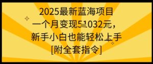 2025最新蓝海项目一个月变现1w+新手小白也能轻松上手【附全套指令】-最全项目网