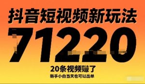 抖音短视频新玩法,20条视频挣了1w+,新手小白当天也可以出单-最全项目网