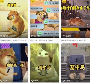 狗头幸运星UE5动画全套课程,从入门到实操全掌握-最全项目网
