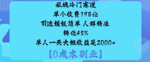 私域冷门赛道:单个收费198米引流模板简单人群精准转化45%单人一天大概收益是1k+-最全项目网