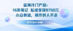 蓝海项目:16条笔记私域变现9750米小众赛道操作的人不多-最全项目网