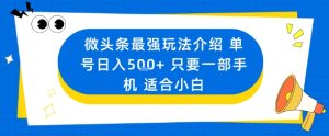 微头条最强玩法介绍一个号日入5张+只要一部手机适合小白-最全项目网