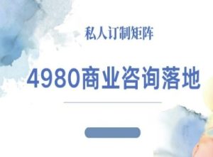 4980商业咨询师落地课程-ip运营高客单教程-最全项目网