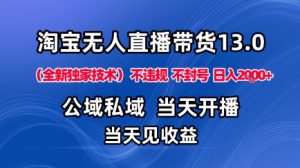 淘宝无人直播13.0,公域私域技术,不封号,不违规布局下半年旺季赛道,日入1K+(独家技术)【揭秘】-最全项目网