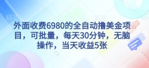 外面收费6980的全自动撸美刀项目,可批量,每天30分钟,无脑操作,当天收益5张【揭秘】-最全项目网