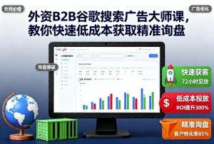 外资B2B谷歌搜索广告大师课,教你快速低成本获取精准询盘-最全项目网