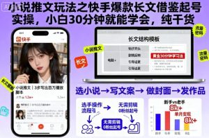 小说推文玩法之快手爆款长文借鉴起号实操,小白30分钟就能学会,纯干货-最全项目网