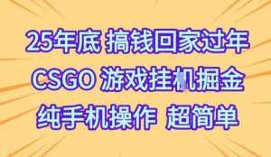 25年底搞钱回家过年，CSGO游戏挂G掘金，纯手机操作超简单【揭秘】-最全项目网