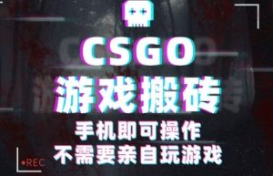 CSGO游戏挂G捡漏,单日扫货5张+,年底小高峰上车可吃肉,手机即可操作,兼职副业创业网创【揭秘】-最全项目网