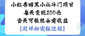 小红书暗黑小众冷门项目每天变现2张当天可能就会有收益-最全项目网