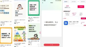 毕业生求职项目拆解_脉脉拉新空白市场，蓝海开局-最全项目网