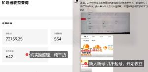 游戏加速器项目4.0_最新打法思路(爱玩游戏也能边玩边被动收益)-最全项目网