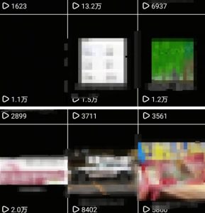 抖音引流创业粉教程，创业粉终于跑通了，私域是永远的王-最全项目网