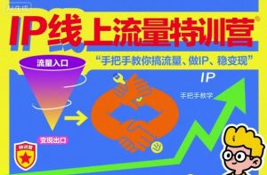 IP线上流量特训营，手把手教你搞流量、做IP、稳变现-最全项目网