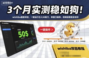 3个月实测稳如狗！wishlba最新项目，一键运行日入50美刀，单窗口躺挣，保姆级教程全给你【揭秘】-最全项目网