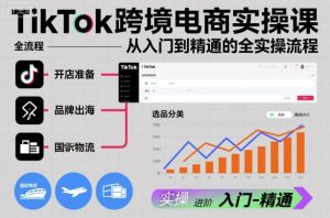 TikTok跨境电商实操课，从入门到精通的全实操流程-最全项目网
