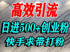 怎么打创业粉？快手求带视角精准引流创业粉，宝妈、学生群体日进500+精准流量-最全项目网