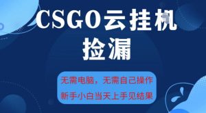 CSGO云挂G全自动捡漏,最新独家玩法,无需电脑操作,新手小白日入5张+【揭秘】-最全项目网