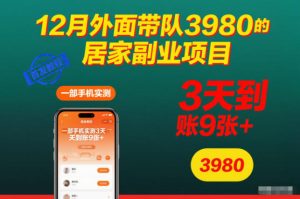 12月外面带队3980的居家副业项目,一部手机实测3天到账9张+,首发教程【揭秘】-最全项目网