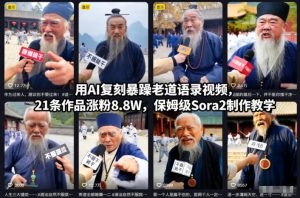 用AI复刻暴躁老道语录视频,21条作品涨粉8.8W,保姆级Sora2制作教学-最全项目网
