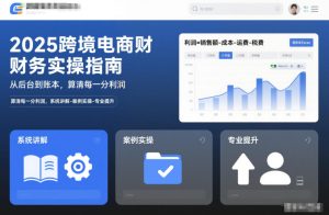 2025跨境电商财务实操指南,从后台到账本,算清每一分利润,系统讲解-案例实操-专业提升-最全项目网