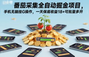 番茄采集全自动掘金项目,手机无脑挂G操作,一天保底收益18+可批量多开【揭秘】-最全项目网