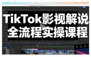 TikTok影视解说全流程实操,手把手教你打造TK爆款解说视频-最全项目网