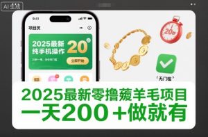2025最新零撸薅羊毛项目，纯手机操作，20秒一单，无任何门槛，一天200+做就有【揭秘】-最全项目网