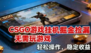CSGO游戏挂G掘金捡漏，不需要玩游戏，操作简单，收益稳定【揭秘】-最全项目网