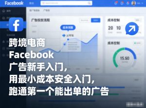 跨境电商Facebook广告新手入门，用最小成本安全入门，跑通第一个能出单的广告-最全项目网