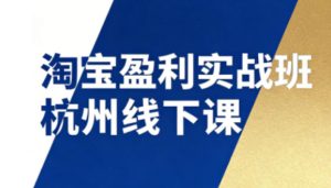 淘宝盈利实战班杭州线下课12月26-28日(音频+字幕),帮你掌握SOP流程+12门核心技术-最全项目网