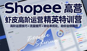 Shopee虾皮高阶运营精英特训营，高阶运营技巧+流量提升+转化率优化，助你业绩翻倍-最全项目网