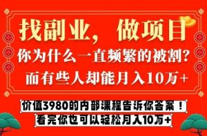 价值3980的网创内部课程，告诉你互联网创业月入10个W的秘密【揭秘】-最全项目网