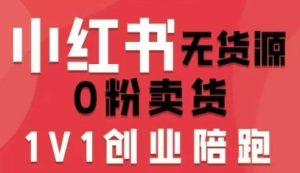 小红书无货源0粉电商课,开店准备、选品策略、笔记撰写、视频剪辑、数据分析、账号打造、资料文档(更新)-最全项目网