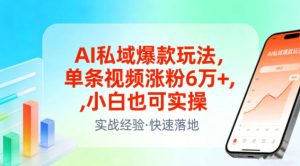 AI私域爆款玩法，单条视频涨粉6W+，小白也可实操-最全项目网