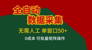 全自动数据采集，无需人工，单窗口50+，0成本可批量矩阵操作【揭秘】-最全项目网