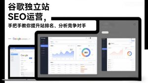 谷歌独立站SEO运营，手把手教你提升网站排名、分析竞争对手（更新2026）-最全项目网