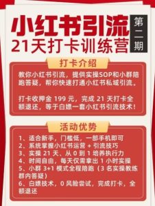 小红书引流21天打卡训练营第二期，助你快速打通小红书私域引流打粉-最全项目网