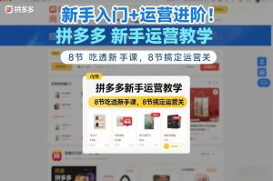 新手入门+运营进阶！拼多多新手运营教学，8节吃透新手课，8节搞定运营关-最全项目网