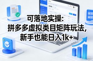 可落地实操：拼多多虚拟类目矩阵玩法，新手也能日入1k+【揭秘】-最全项目网