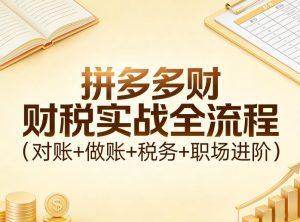 拼多多财税实战全流程(对账+做账+税务+职场进阶)-最全项目网