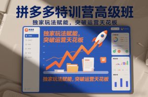 拼多多特训营高阶班，独家玩法赋能，突破运营天花板（更新26年3月13日）-最全项目网