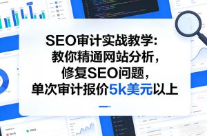 SEO审计实战教学:教你精通网站分析,修复SEO问题,单次审计报价5k美元以上-最全项目网
