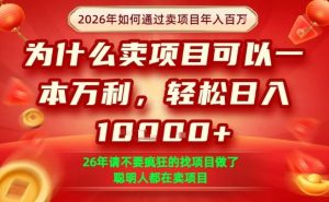 一单净利润1K+,26年想年入100个W,死磕卖项目就够了【揭秘】-最全项目网