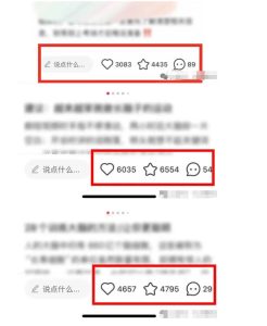 小红书获客实战宝典，带你从小红书平台稳定获客，轻松引流到微信私域-最全项目网