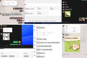 雷神加速器项目模拟器_无脑1分钟1条视频矩阵_疯狂报单打法【焚诀】-最全项目网