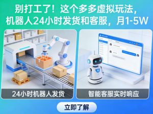 别打工了！这个多多虚拟玩法，机器人24小时发货和客服，月1-5W【揭秘】-最全项目网